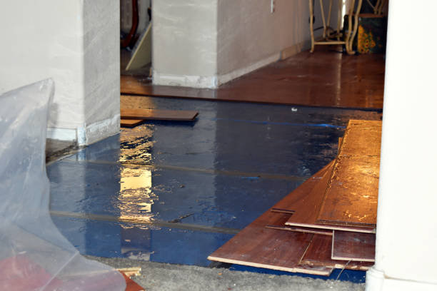 Professional Emergency Water Damage Restoration technician working in Pomeroy, IA